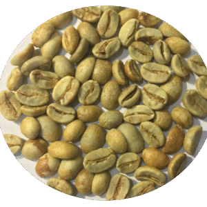 Cà phê Arabica Bourbon