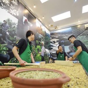 Cà phê Moka Cầu Đất - Đà Lạt Sàn 18